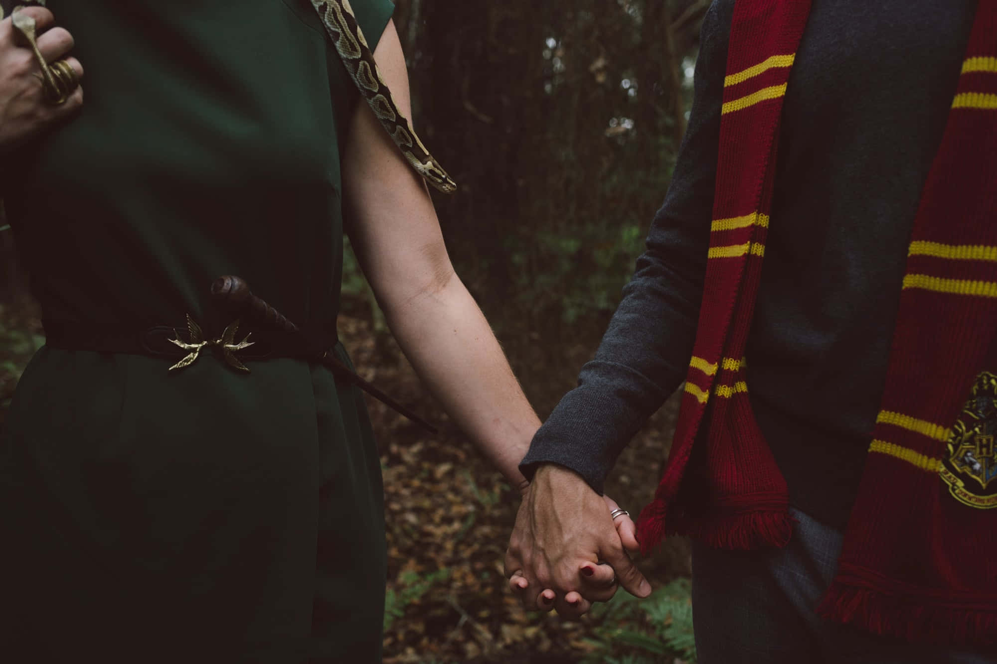 Welkom by die Slytherin-estetika, omhels jou innerlike slang! Muurpapier