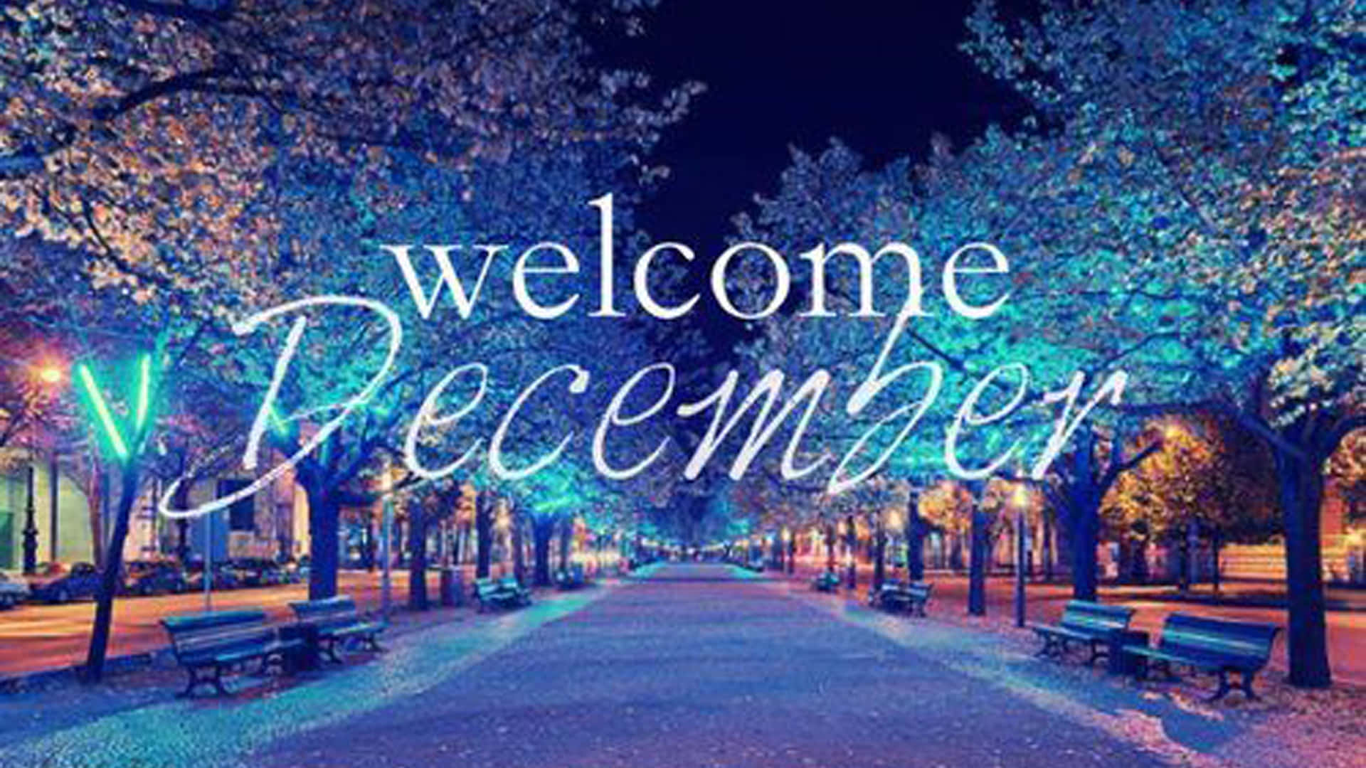 Welkom Desember Feesvierende Kersboomliggies Muurpapier