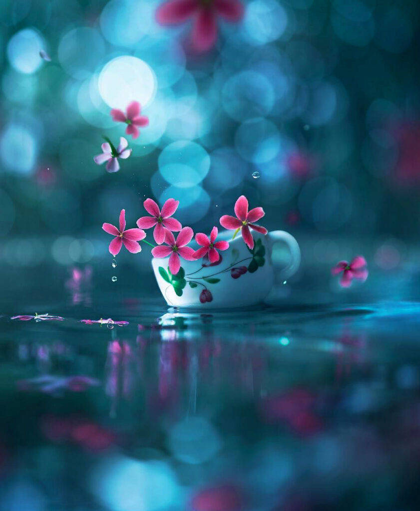 WhatsApp DP Blomme Beker Muurpapier