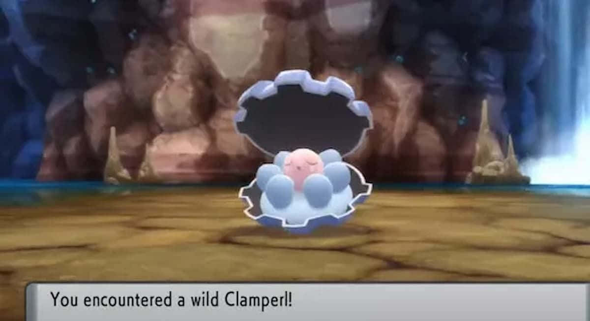 Wilde Clamperl Ontmoeting Muurpapier
