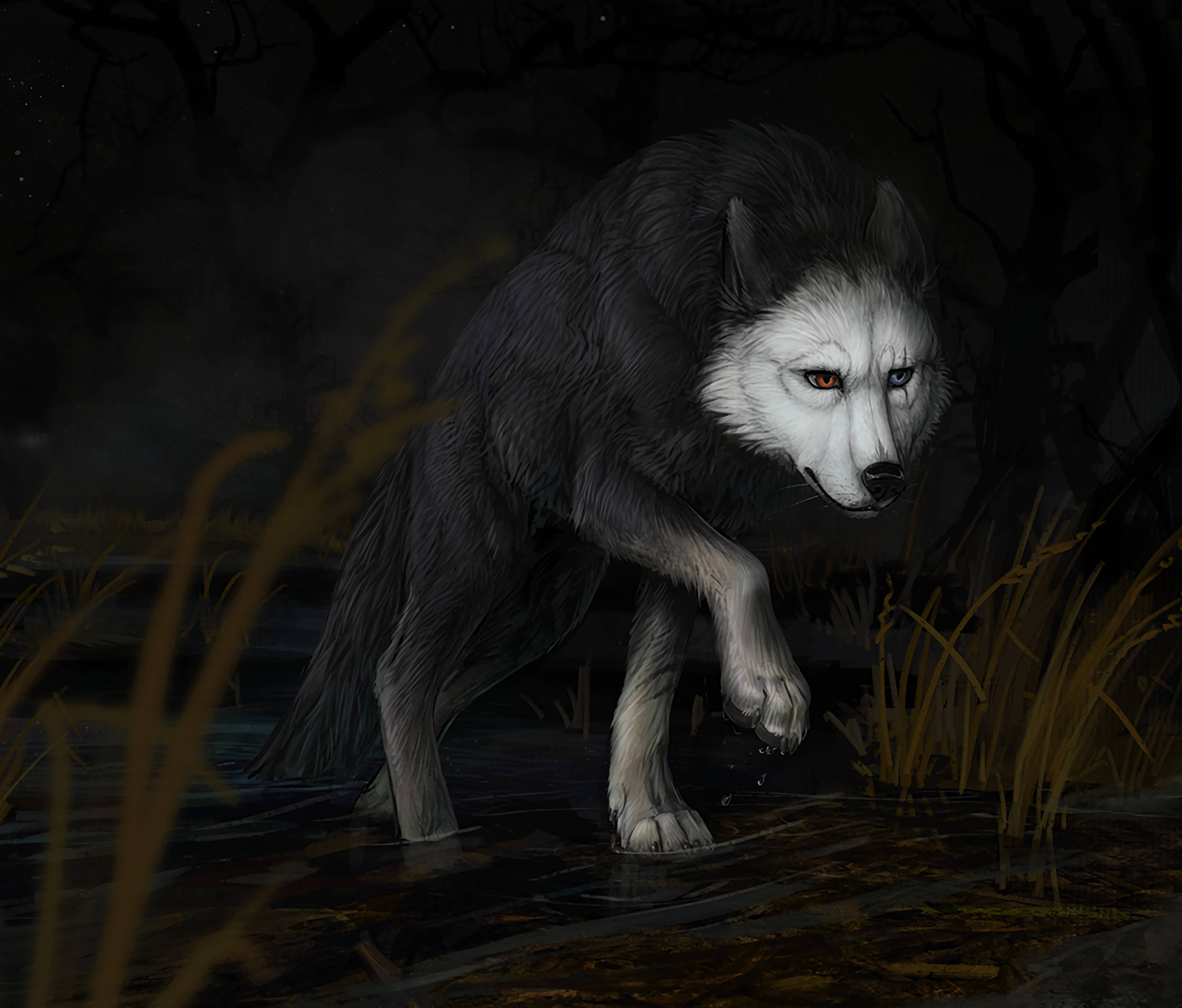 Wily en Wyse Wolf Muurpapier