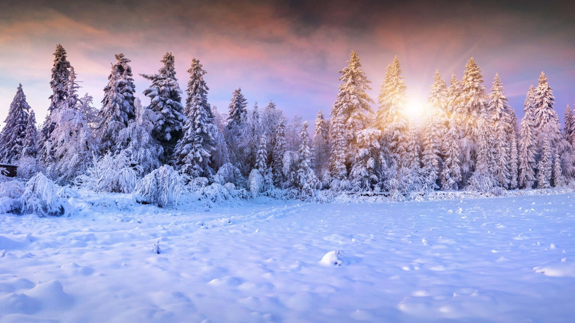 Winter Agtergrond Muurpapier