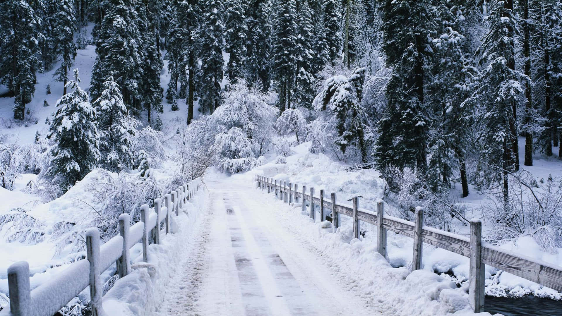 Winter Agtergrond Muurpapier