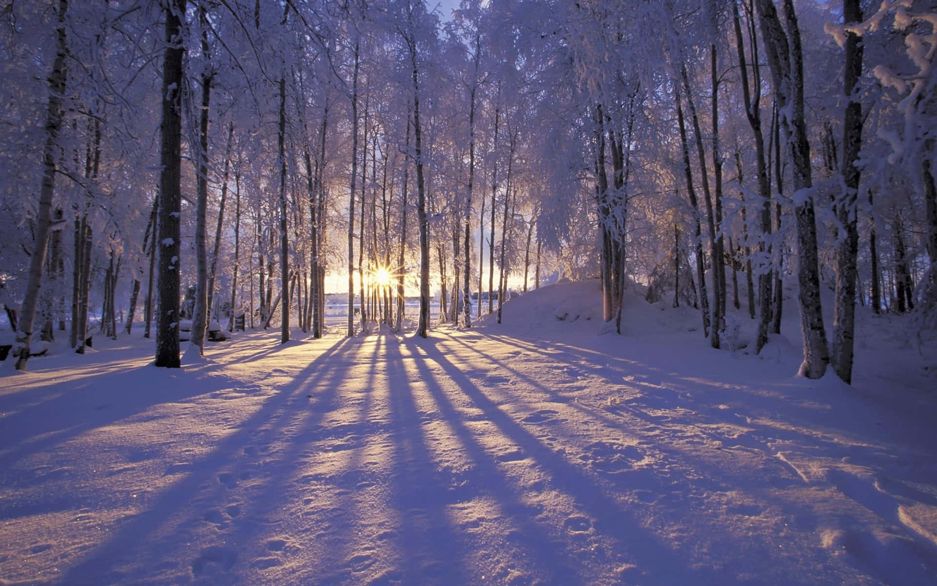 Winter Agtergrond Muurpapier