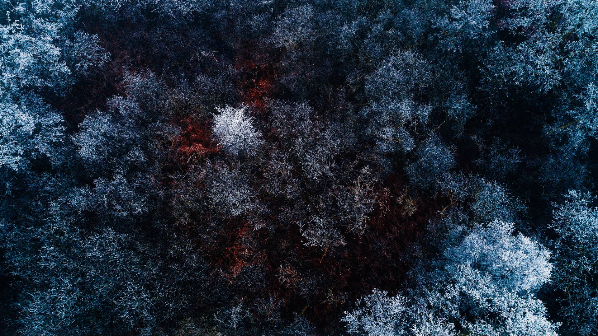 Winter-estetiek uit Voëlvlug Muurpapier