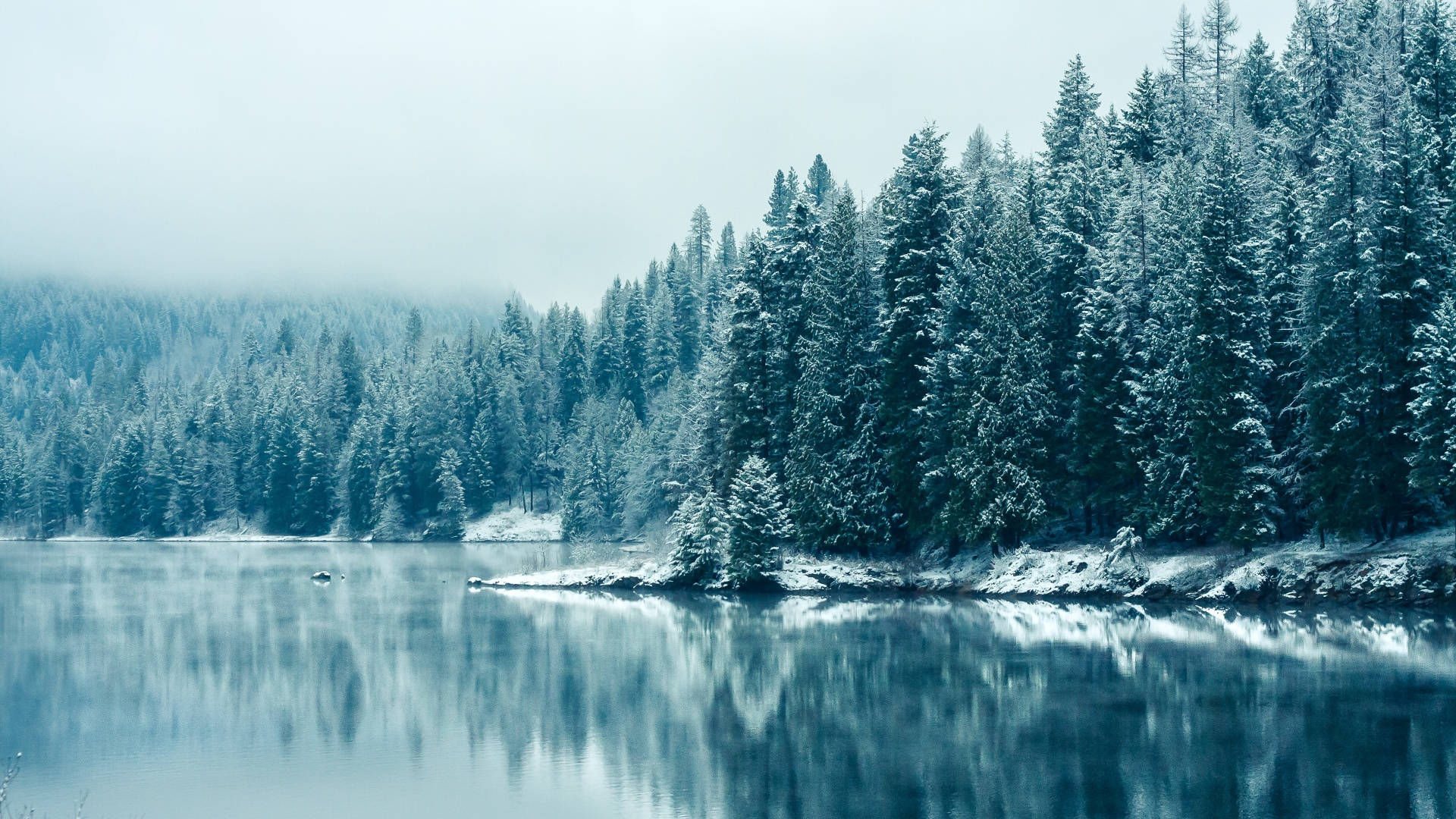 Winter Estetiese Meer Muurpapier