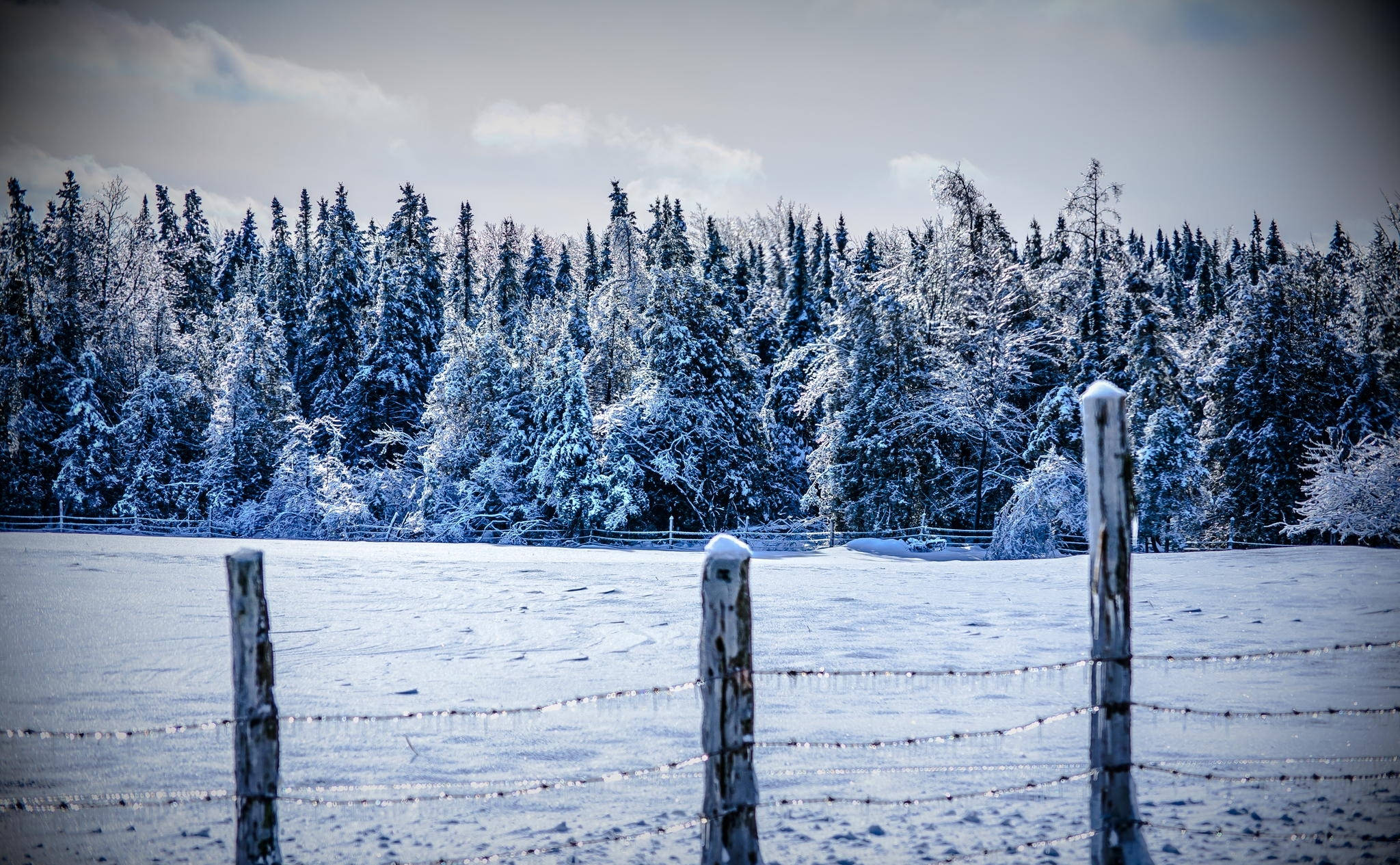 Winter Heining Landskap Muurpapier