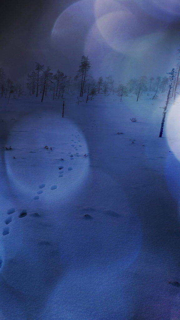 Winter Seisoen Natuur iPhone Muurpapier