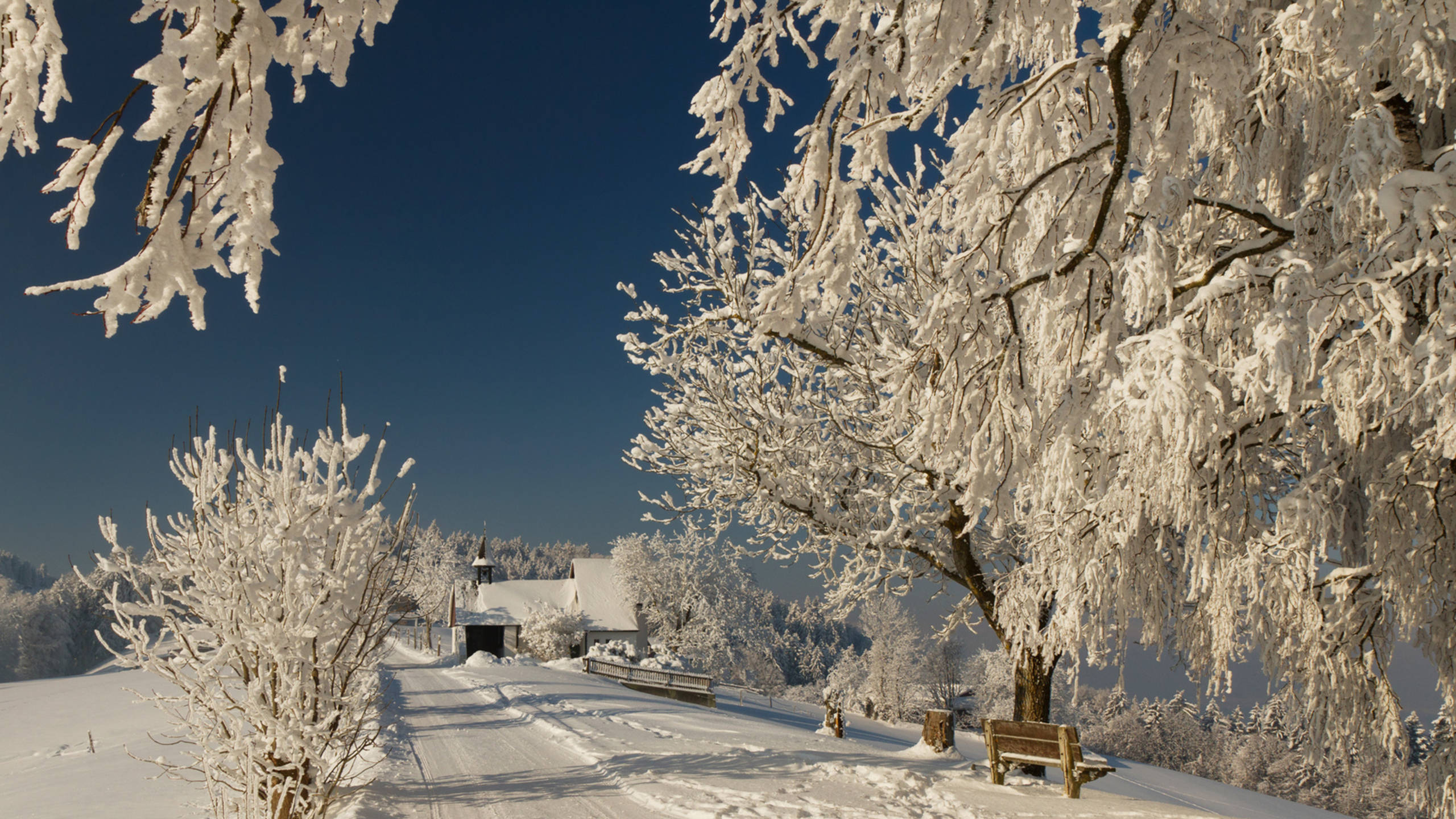 Winter Skemer Koue Park Muurpapier