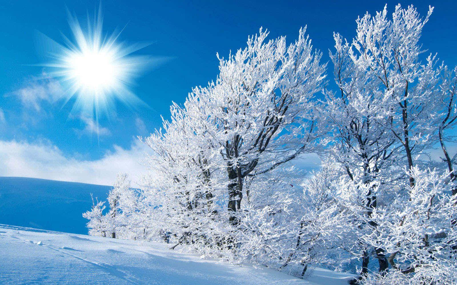 Winter Wonderland Seison Skoon Hemel Skaars Muurpapier