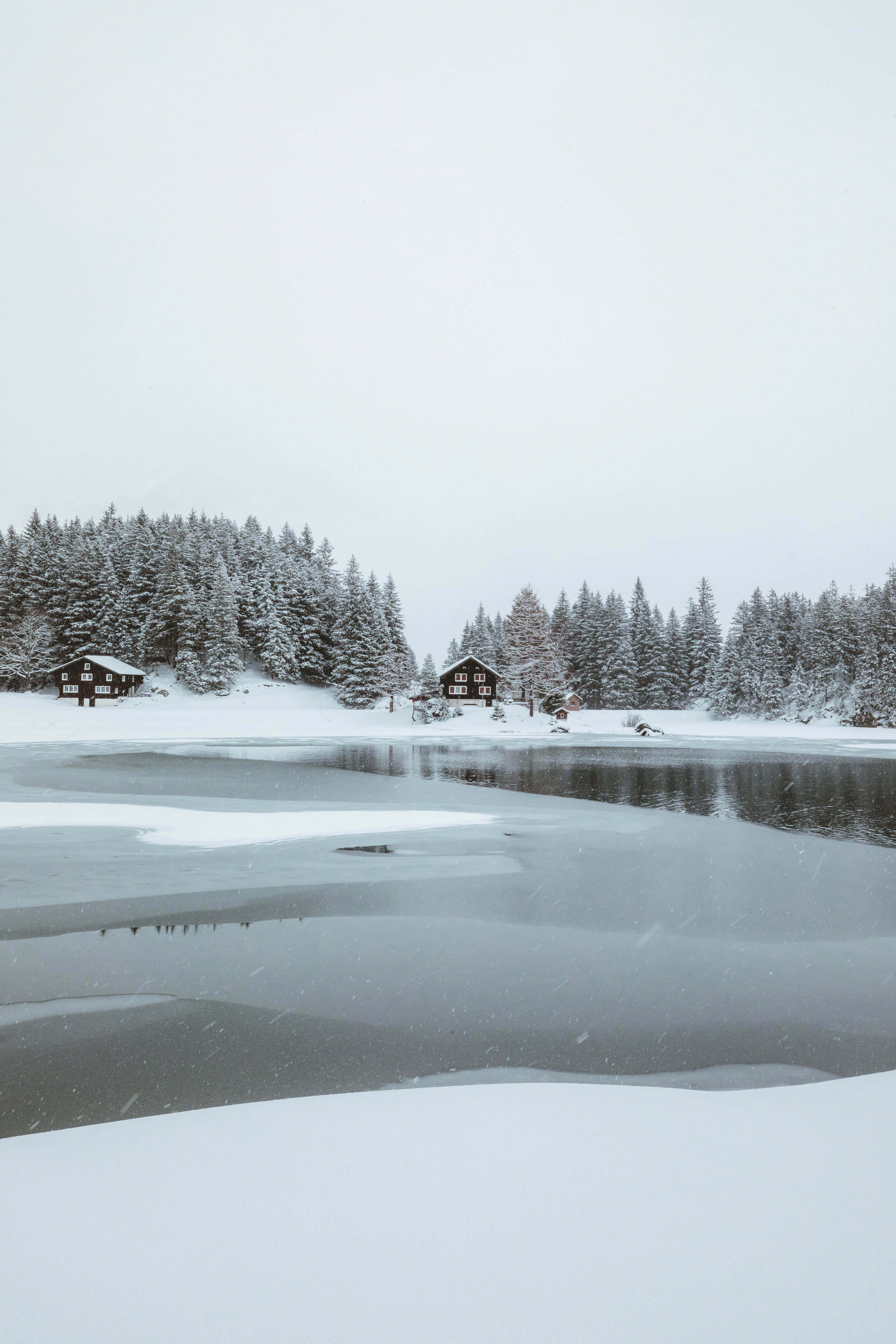 Winter Wonderland Sneeumeer Prent Muurpapier