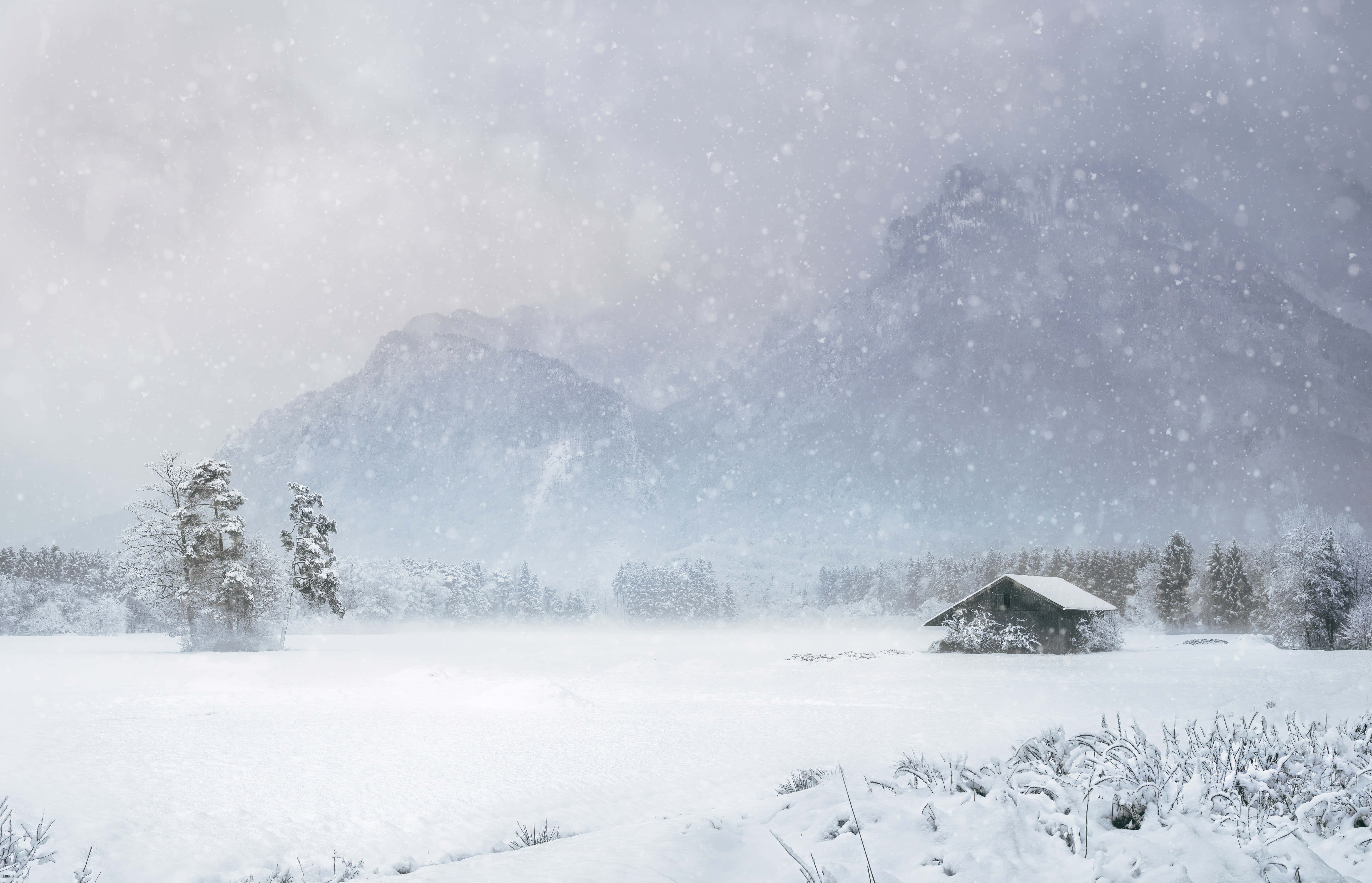 Winter Wonderland Berglandskap Prent Muurpapier