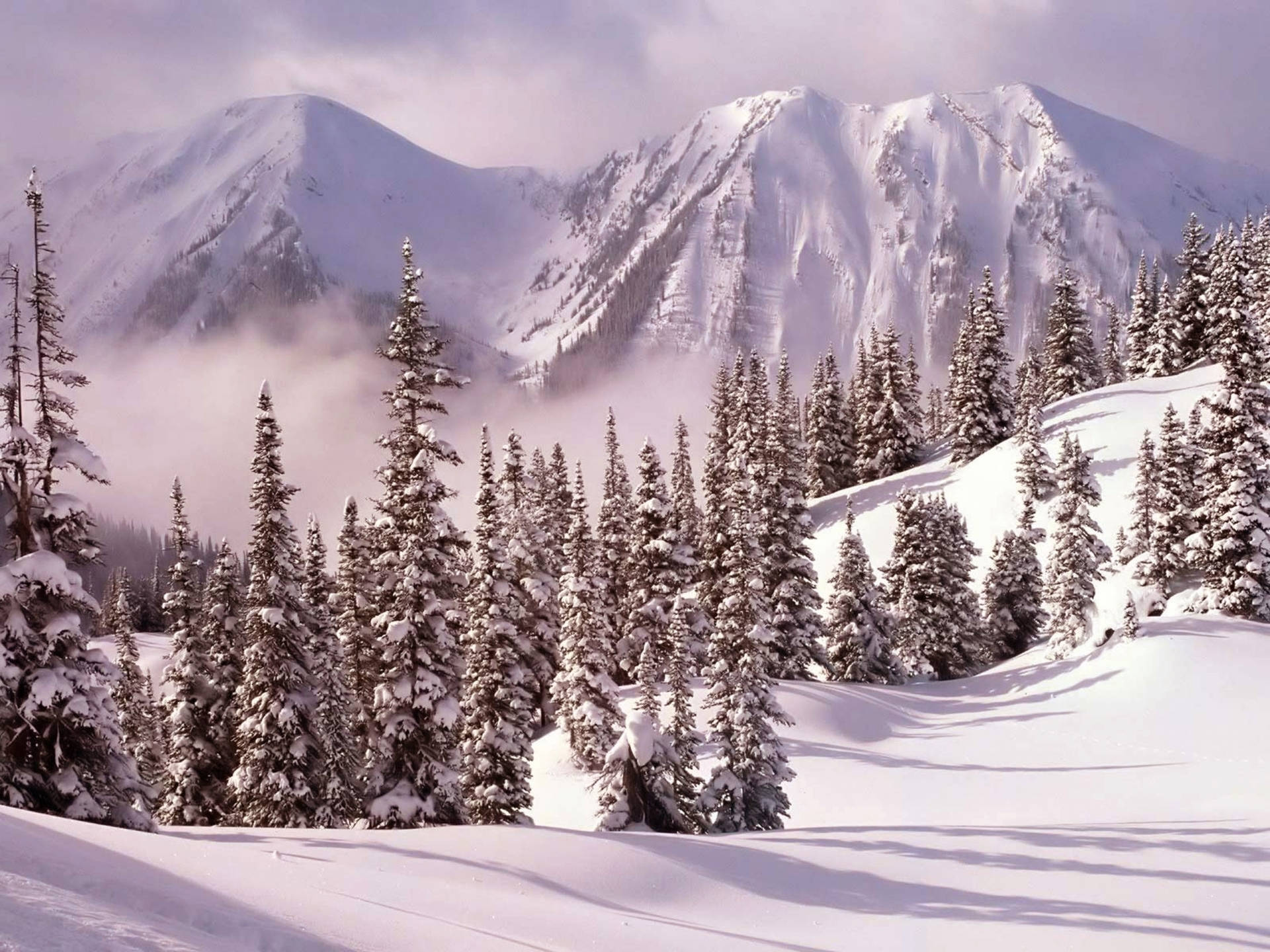 Winterlandskap Fotografie Muurpapier