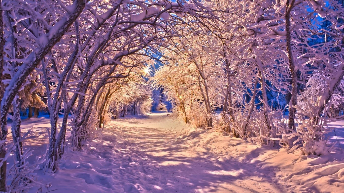 Winterse Tonnel Muurpapier