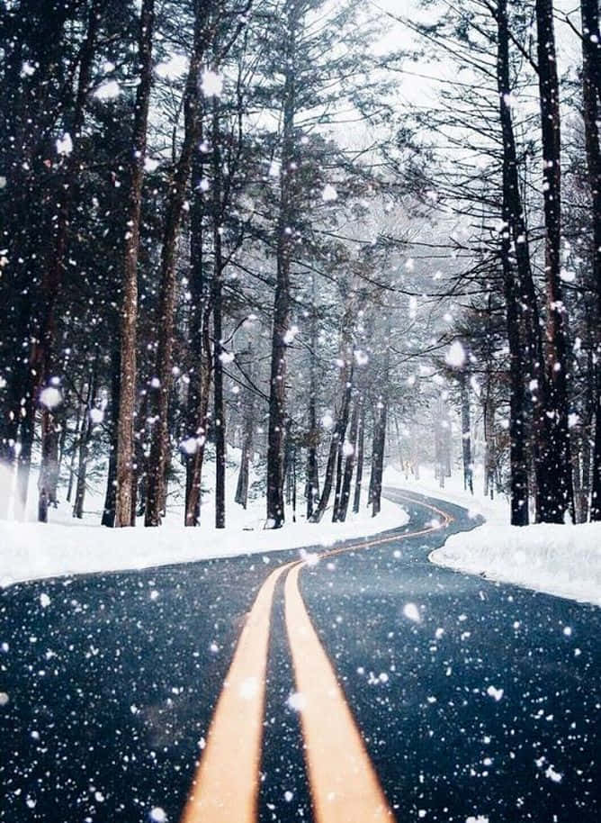 Winterwonderland: 'n Sneeupad in die Bos Muurpapier