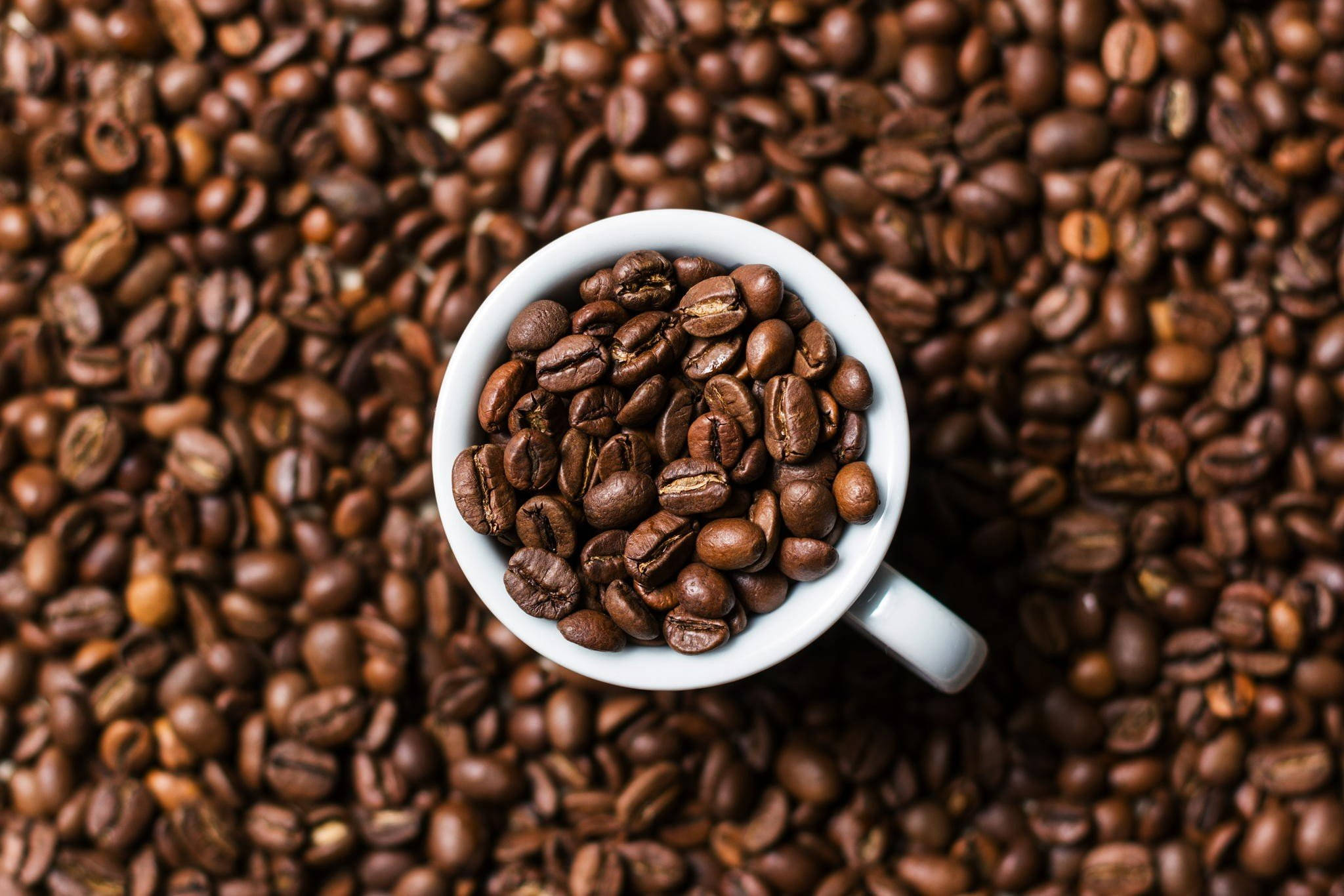 Wit Beker Gevul Met Koffiebone Muurpapier