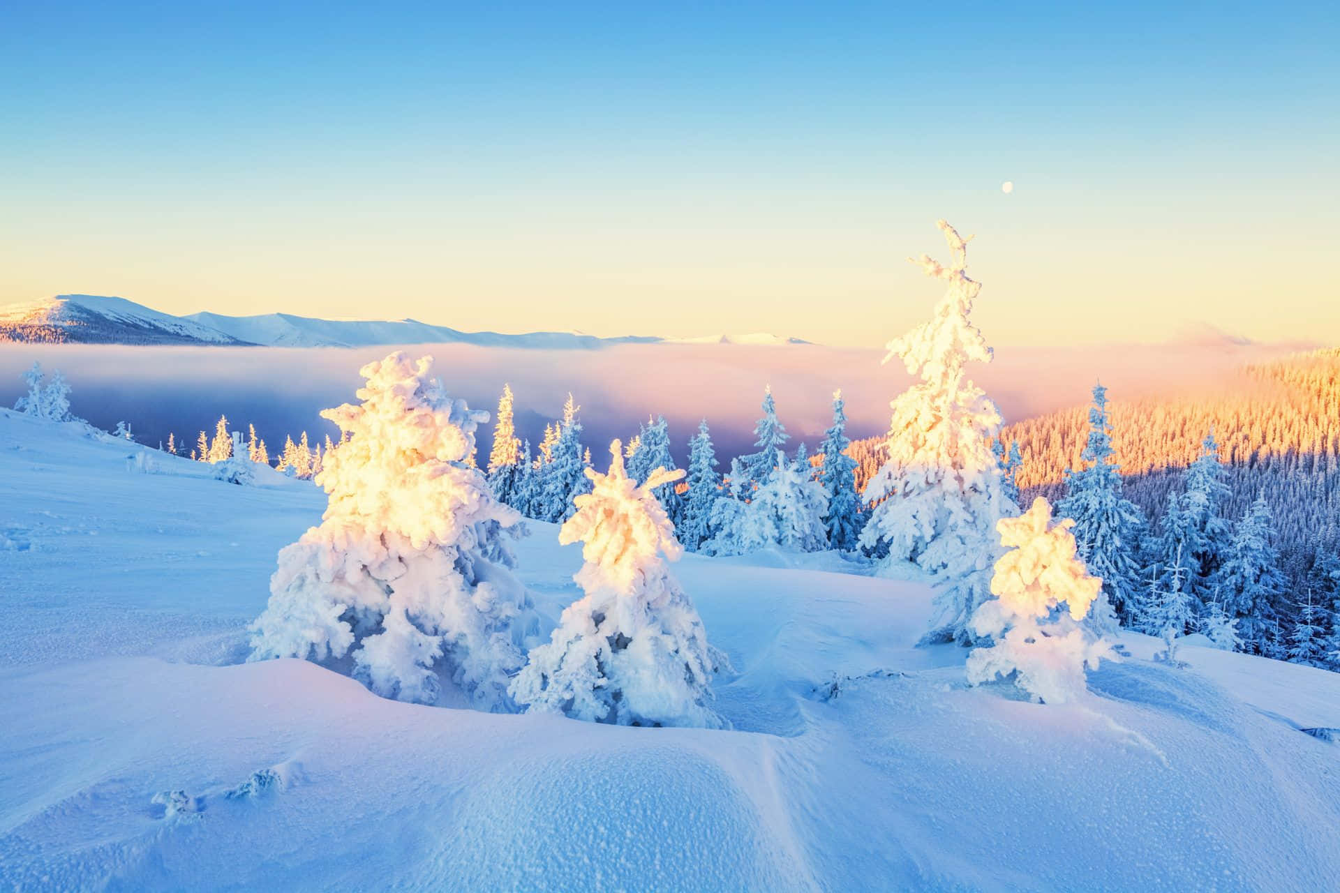 Wit Berg Winter Wonderland Agtergrond Muurpapier