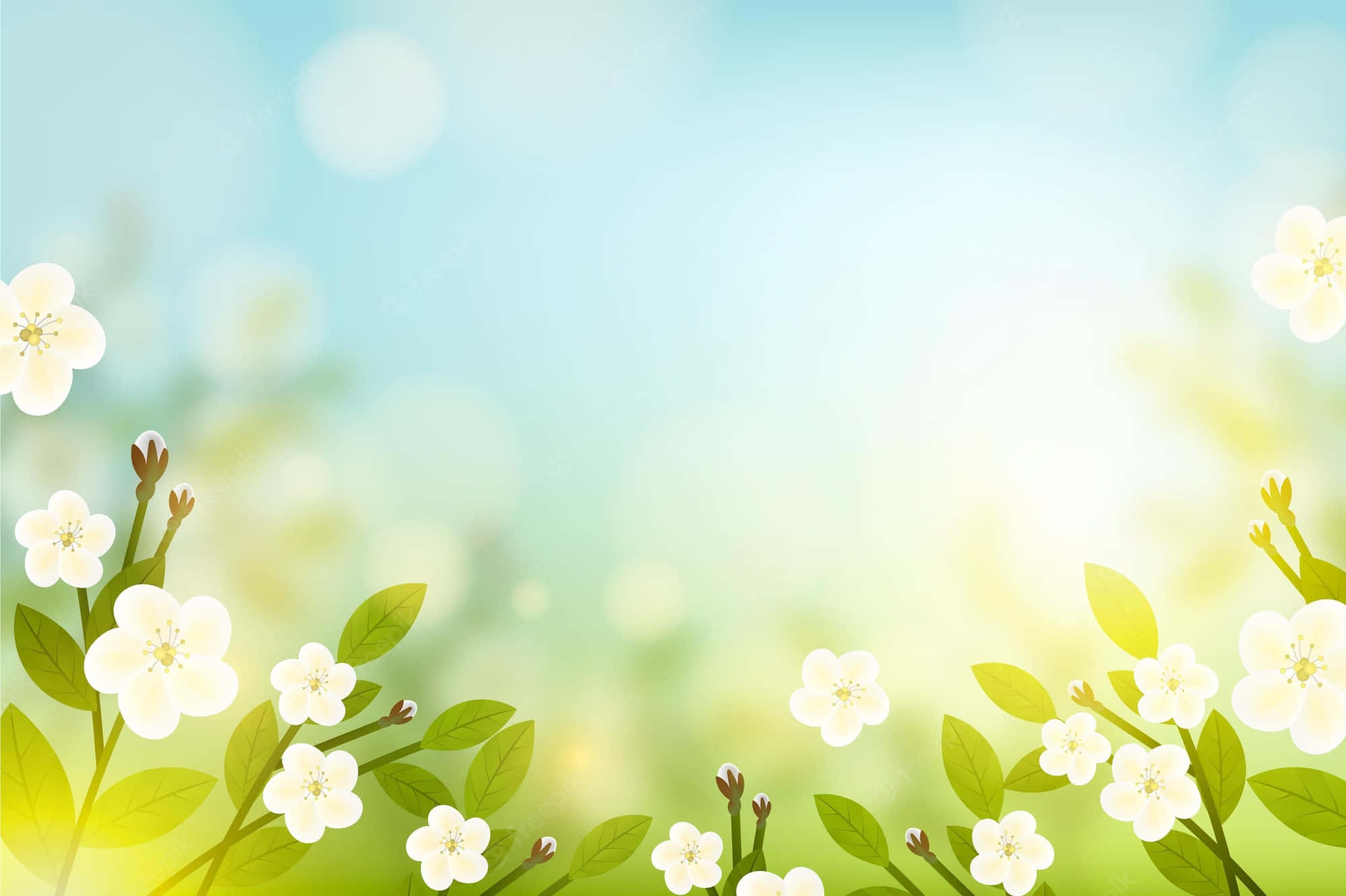 wit blomme op 'n groen agtergrond Muurpapier