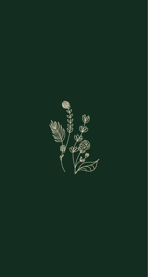 Wit Blomplante Eenvoudige Estetiese Muurpapier