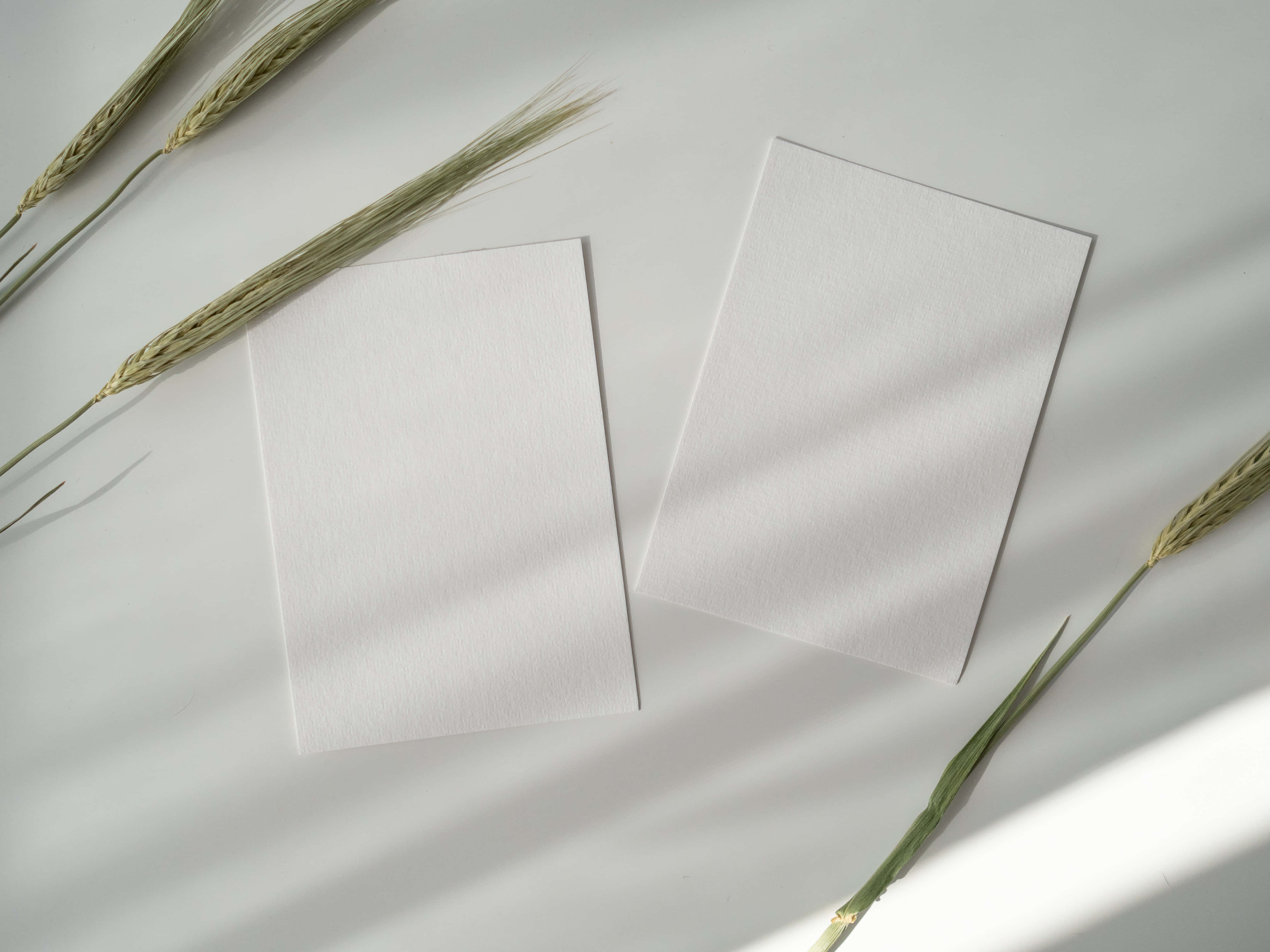 Wit Drukpapiere Onder Skaduwee-agtergrond Muurpapier