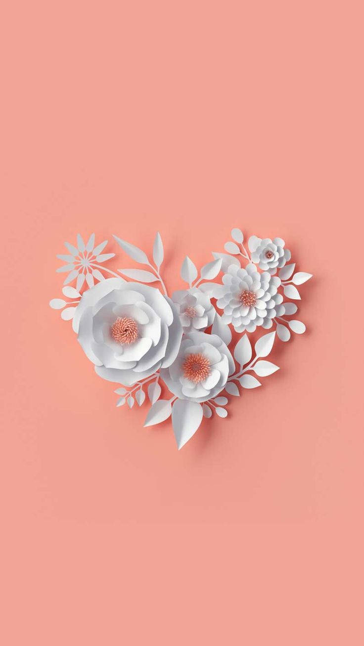 Wit Kunsmatige Blom Floral iPhone Muurpapier