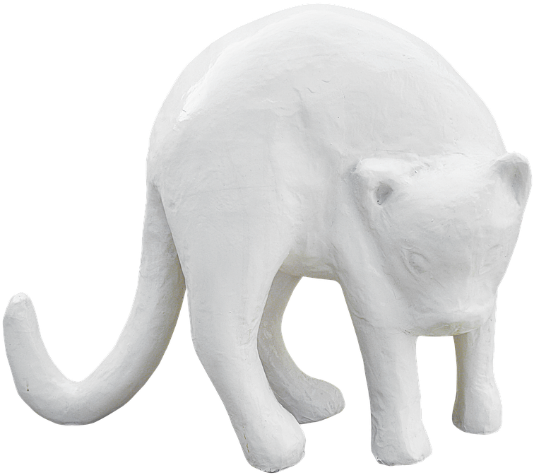 Wit Pleister Kat Beeld Muurpapier