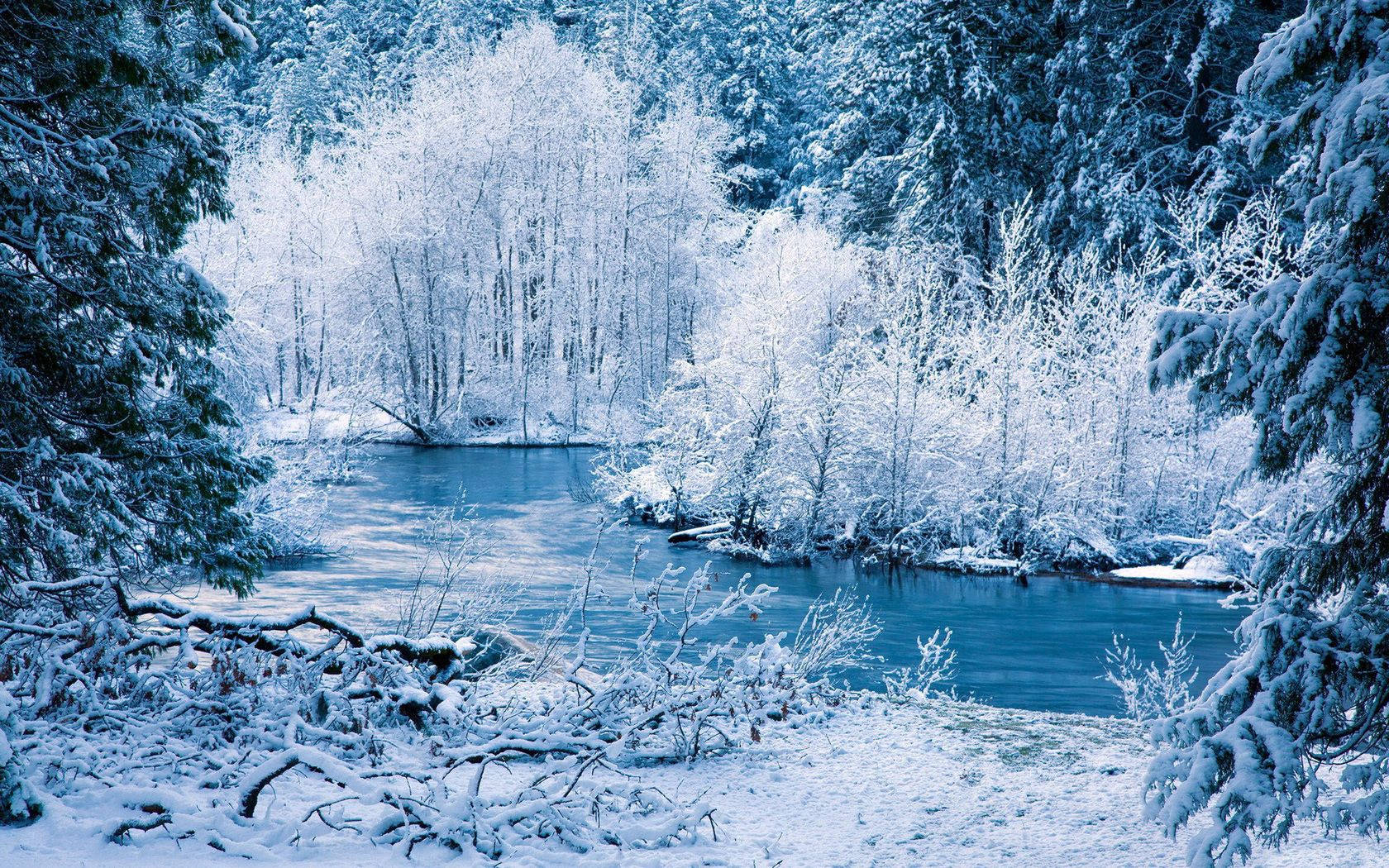 Wit Winter Rivieroewer Muurpapier