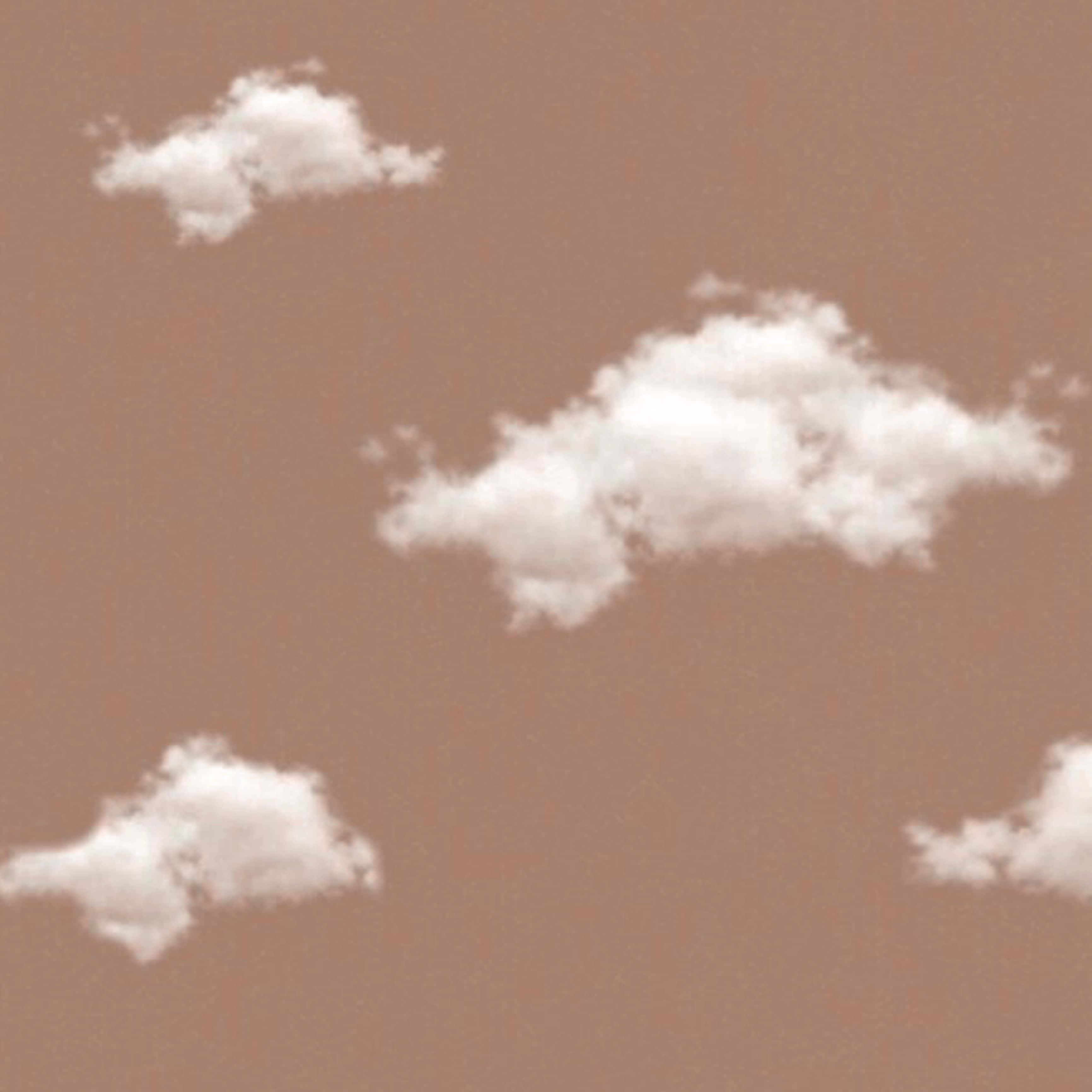 Wit Wolke Bruin Estetika Muurpapier