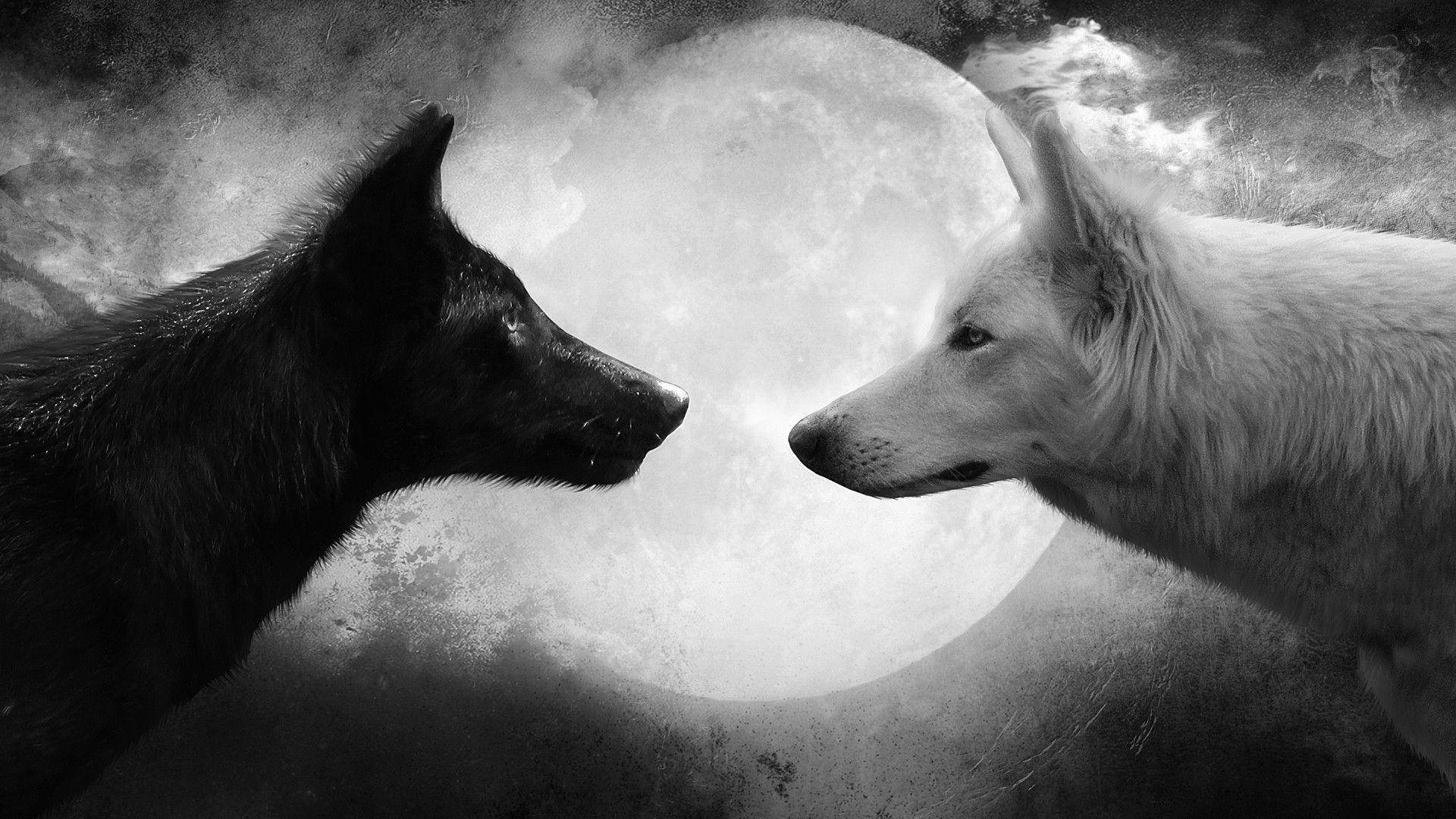 Wolf Romantiek Bureaublad Muurpapier