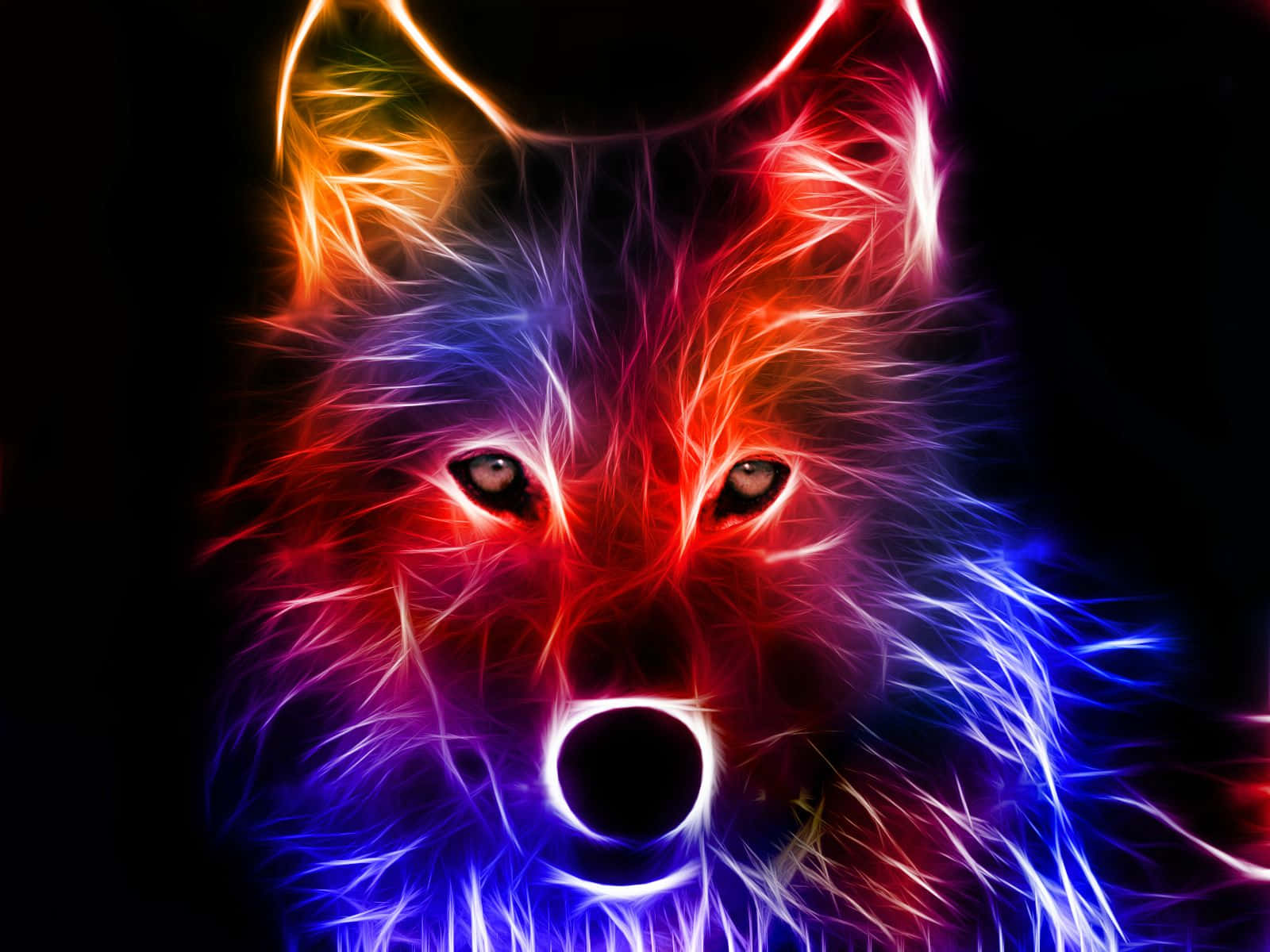 Wys Jou Koel Kant met hierdie Super Koel Wolf Muurpapier