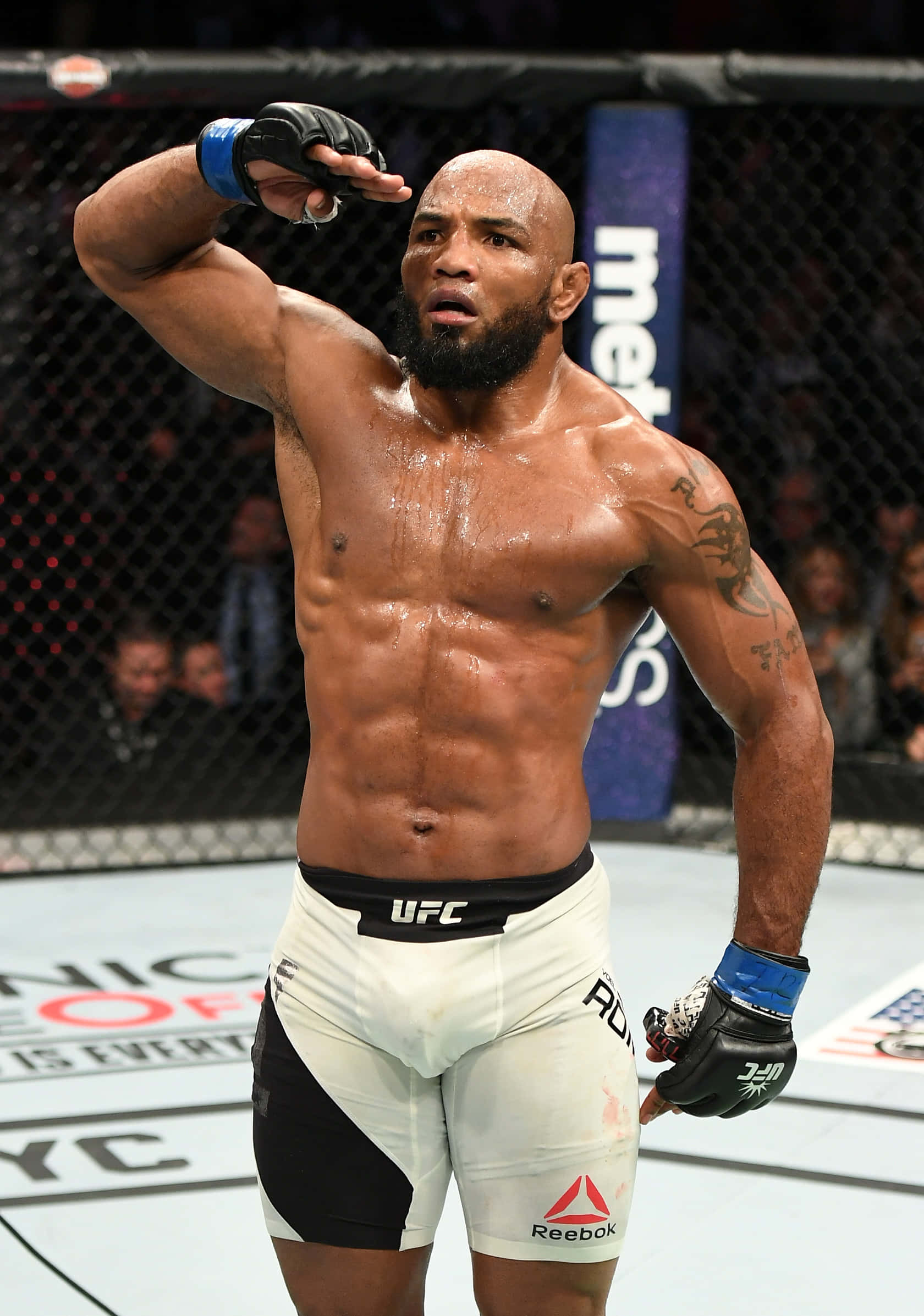 Yoel Romero Groet by UFC 205 Muurpapier