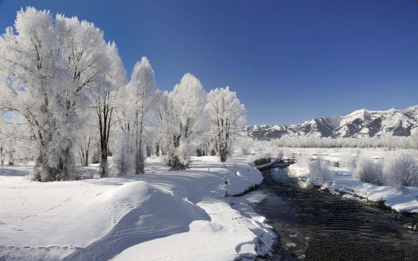 Ysige Winter Natuur Muurpapier