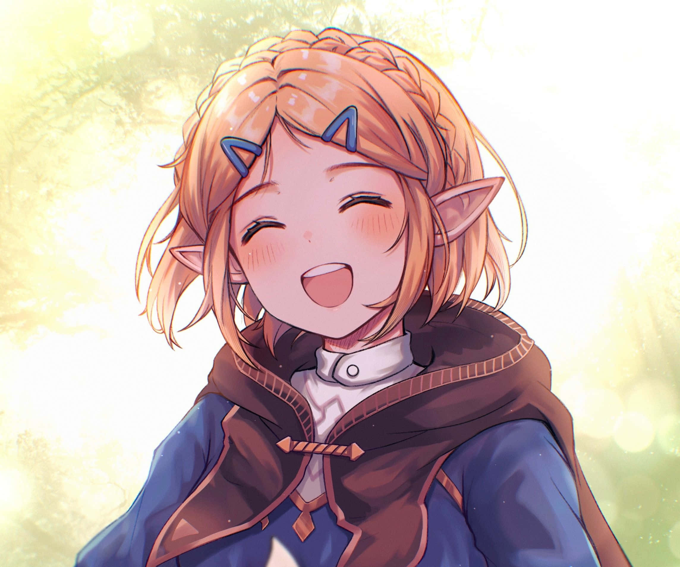 Zelda agtergrond Muurpapier