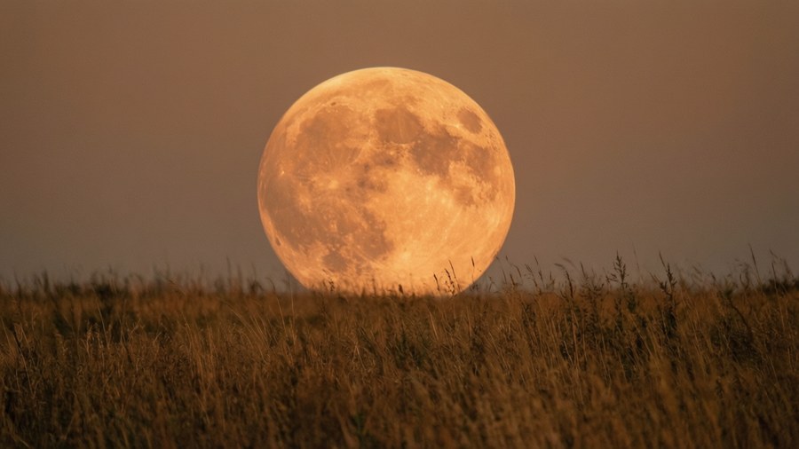 ’n Oranje oesmaan het ’n warm gloed oor ’n droë grasveld gewerp.