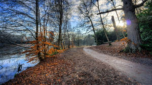 8k 7680x4320 Ultra Hd Resolusie Buitenblad Rivierpaadjie