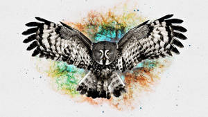 Abstrak geverfde oulike uil-agtergrond — Oulike Uil Muurpapier