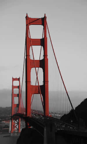 Android San Francisco Agtergrond — Galaxy Tab A Muurpapier