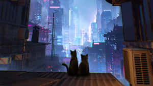 Anime Kat agtergrond — Cat Noir Muurpapier