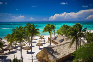 Aruba-strand Prente — Oseaan golwe Muurpapier