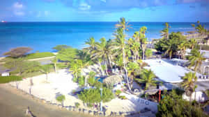 Aruba Strand Prente — Oseaan golwe Muurpapier