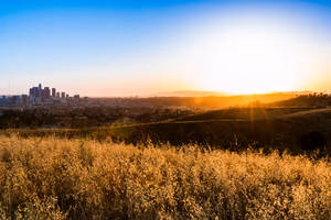 Ascot Hills Los Angeles-sonsopkoms-agtergrond — Sononderlaan Muurpapier