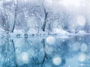 Winter Sneeu Agtergrond — Winters Estetika Muurpapier