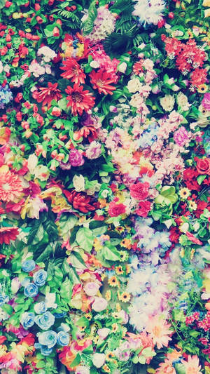 Assortering Kleurvolle Blomme Floral Iphone