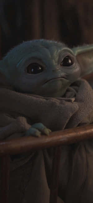 Baby Yoda Zoom Agtergrond — OnePlus Nord 6 Muurpapier