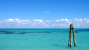 Bahamas-oseaan-uitsig-agtergrond — See-uitsig oor die see Muurpapier