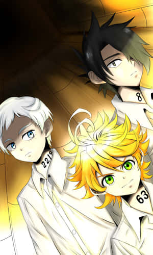 Promised Neverland-agtergrond — Huawei Pura X View Muurpapier