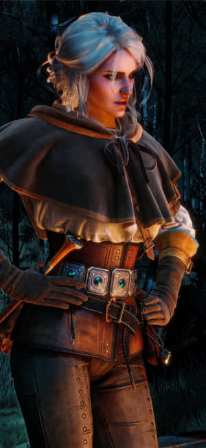 Beste The Witcher 3 Agtergrond — Zenfone Muurpapier