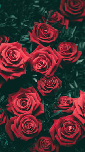 Betowerende Blomtapijt vir Jou Foon — Blomfoon Muurpapier