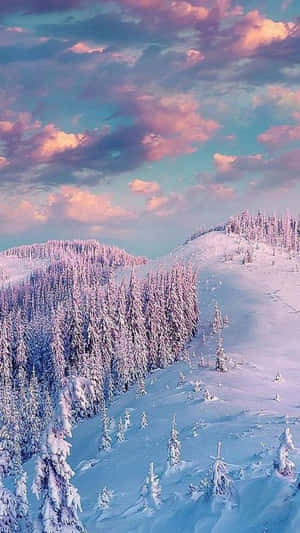 Winter Agtergrond