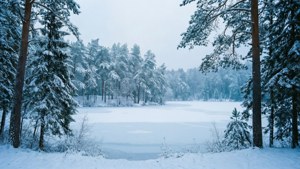 Sneeubos en bevrore meer in 'n ultrawye winterlandskap.